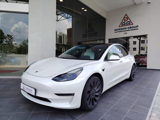 TESLA MODEL 3 PERFORMANCE